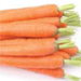 carrots whole